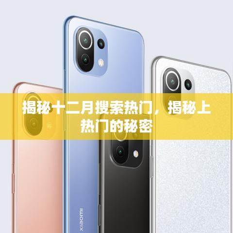揭秘十二月搜索热门背后的秘密