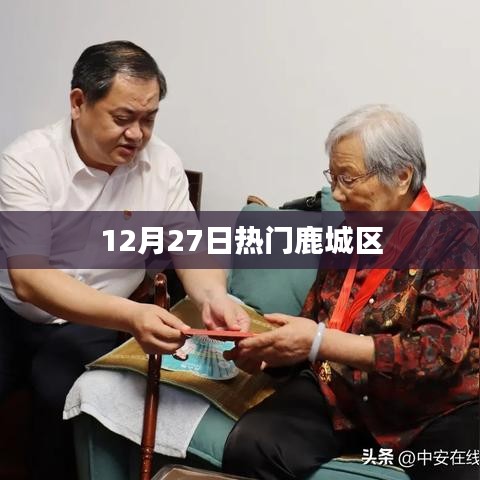鹿城区12月27日热点事件概览