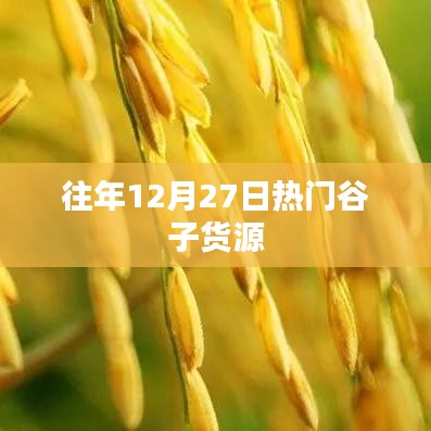热门谷子货源盘点，历年年末抢鲜攻略