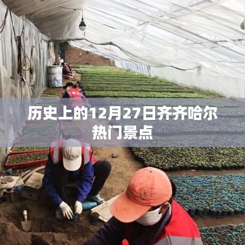 产品中心 第555页