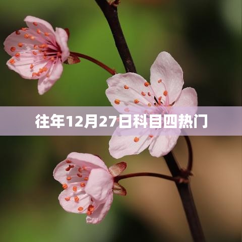 往年12月27日科目四考试热点及备考指南