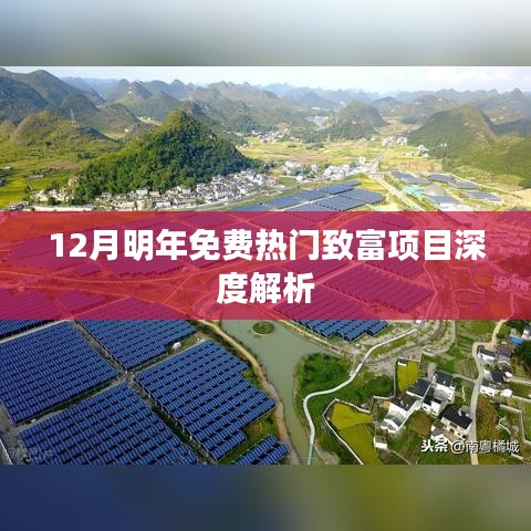 深度解析，十二月致富项目，明年免费开启致富路