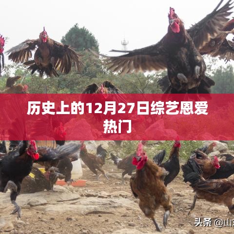 历史上的综艺恩爱日，12月27日的甜蜜回忆