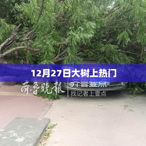 乌鸟私情 第2页