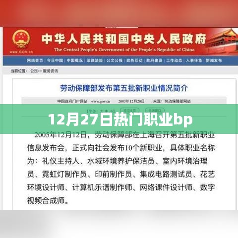 12月27日热门职业BP解读