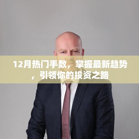 掌握最新趋势！引领投资之路，12月热门手数解析