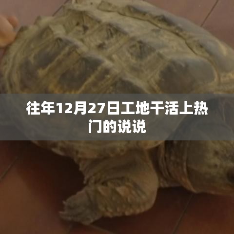 年末工地奋斗，12月27日的忙碌日常