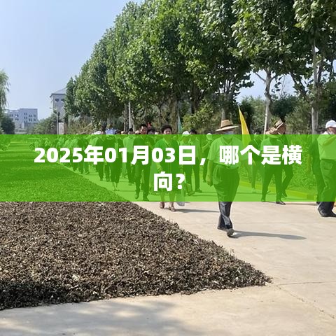 2025年1月3日，如何识别横向特征？