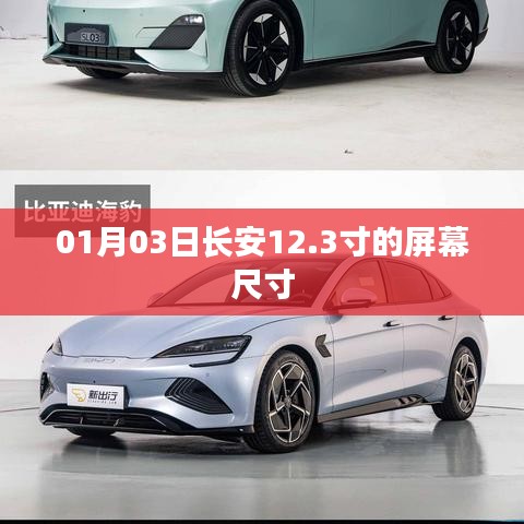 国色天姿 第3页