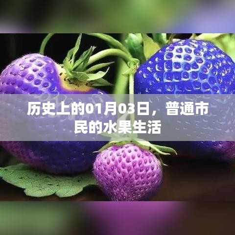 历史中的水果生活，一月三日市民日常观察。