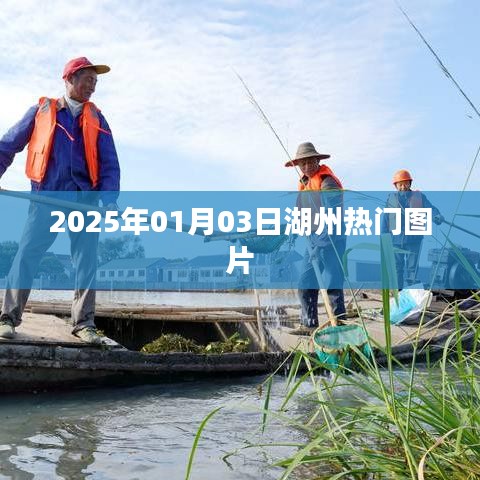 湖州热门图片精选，2025年1月3日精彩瞬间