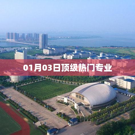 01月03日热门顶级专业解析
