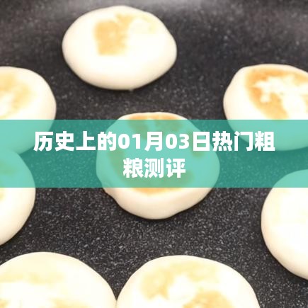 热门粗粮测评盘点，历史一月三日回顾