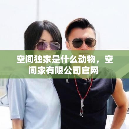 空间独家是什么动物，空间家有限公司官网 