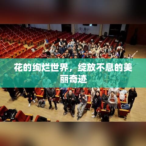 花的绚烂世界，绽放不息的美丽奇迹
