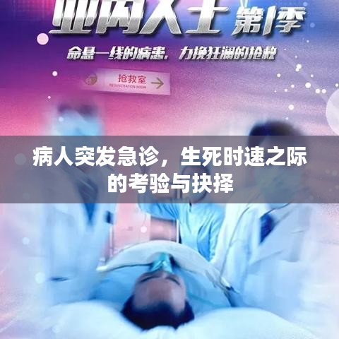 第801页