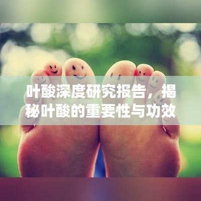 叶酸深度研究报告，揭秘叶酸的重要性与功效