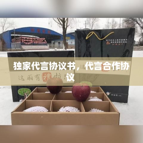 独家代言协议书，代言合作协议 