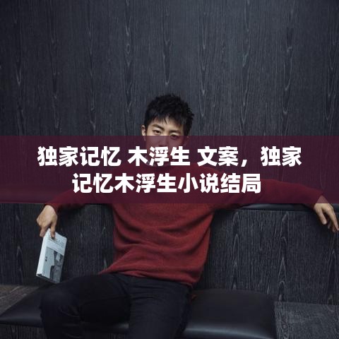 独家记忆 木浮生 文案，独家记忆木浮生小说结局 