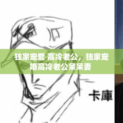 独家宠爱 高冷老公，独家宠婚高冷老公呆呆妻 
