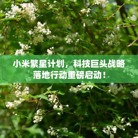 百鸟归巢 第2页
