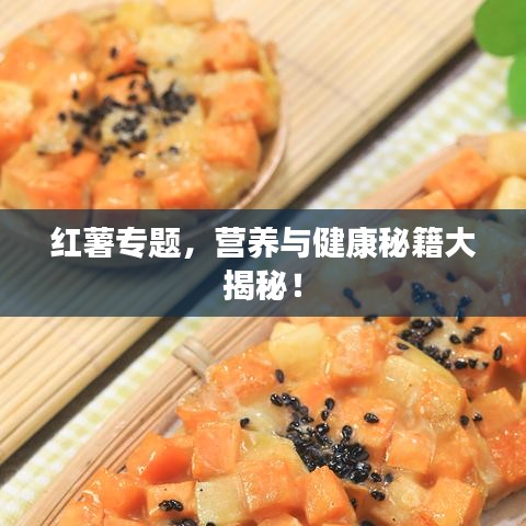 红薯专题，营养与健康秘籍大揭秘！