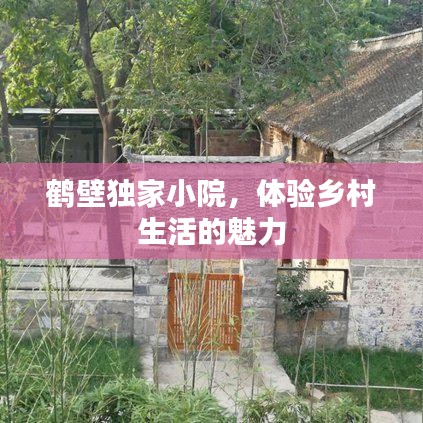 鹤壁独家小院，体验乡村生活的魅力