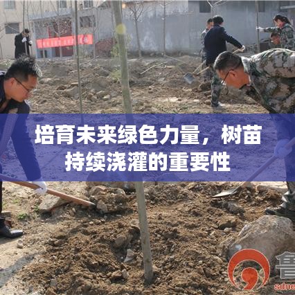 培育未来绿色力量，树苗持续浇灌的重要性
