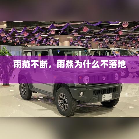 雨燕不断，雨燕为什么不落地 