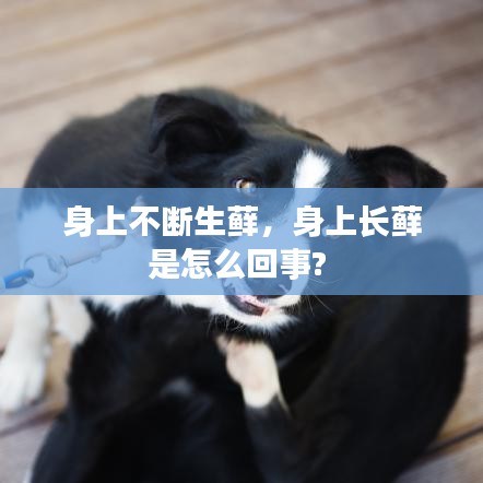 身上反复长藓的原因及解决方法