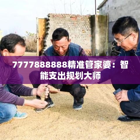 7777888888精准管家婆：智能支出规划大师