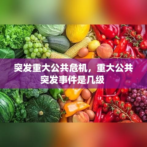 突发重大公共危机，重大公共突发事件是几级 