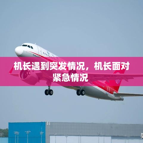 机长遇到突发情况，机长面对紧急情况 