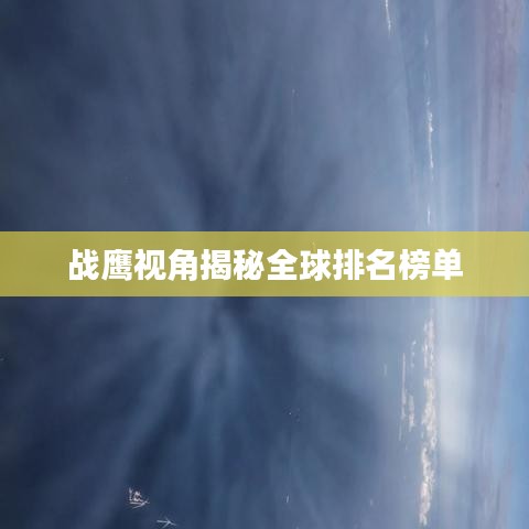 战鹰视角揭秘全球排名榜单