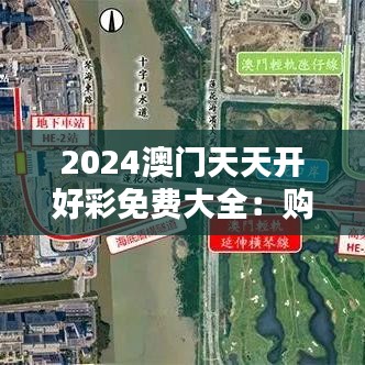 2024澳门天天开好彩免费大全：购物狂欢必备手册