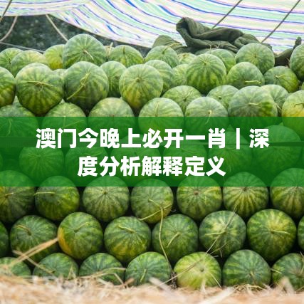 澳门今晚上必开一肖｜深度分析解释定义
