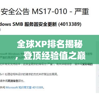 全球XP排名揭秘，登顶经验值之巅的奥秘之旅