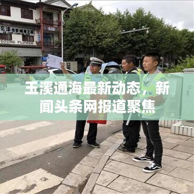 玉溪通海最新动态，新闻头条网报道聚焦