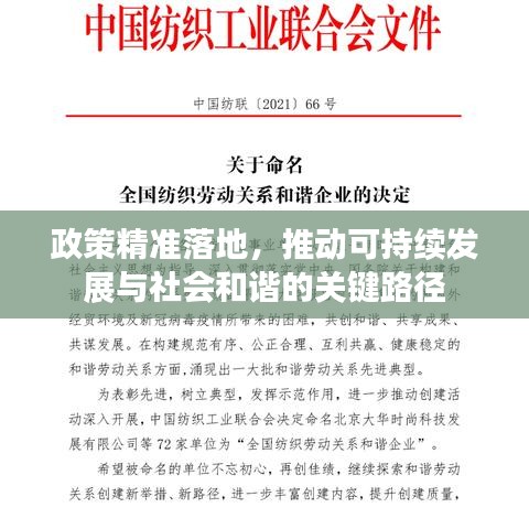 政策精准落地，推动可持续发展与社会和谐的关键路径