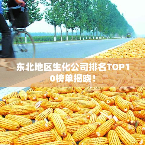 临危不惧 第2页