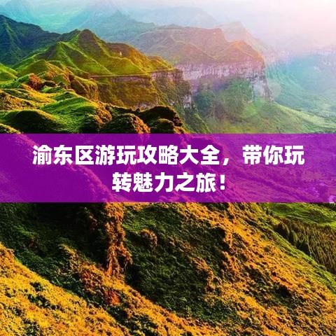 纲挈目张 第2页