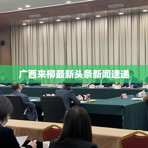 广西来柳最新头条新闻速递