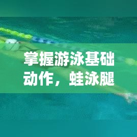 掌握游泳基础动作，蛙泳腿专题练习全攻略