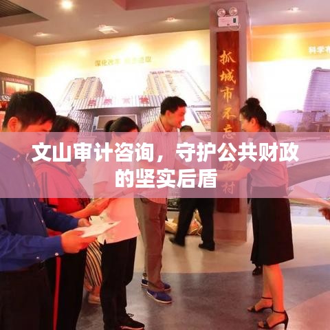 文山审计咨询，守护公共财政的坚实后盾