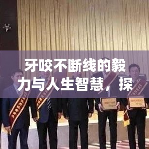 牙咬不断线的毅力与人生智慧，探寻坚韧不拔的力量之源