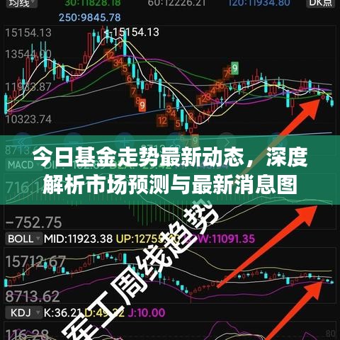 今日基金走势最新动态，深度解析市场预测与最新消息图