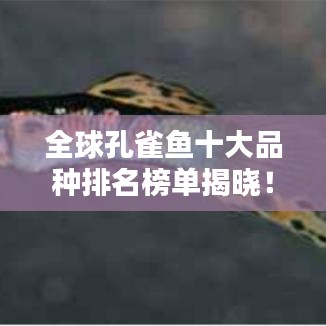 全球孔雀鱼十大品种排名榜单揭晓！