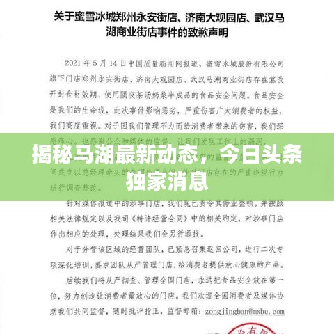 揭秘马湖最新动态，今日头条独家消息