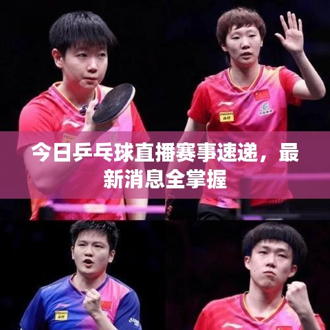 今日乒乓球直播赛事速递，最新消息全掌握