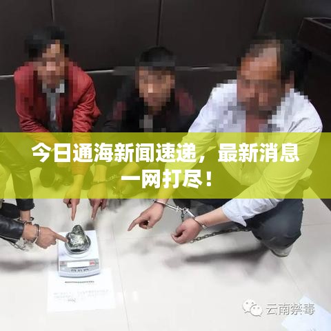 今日通海新闻速递，最新消息一网打尽！